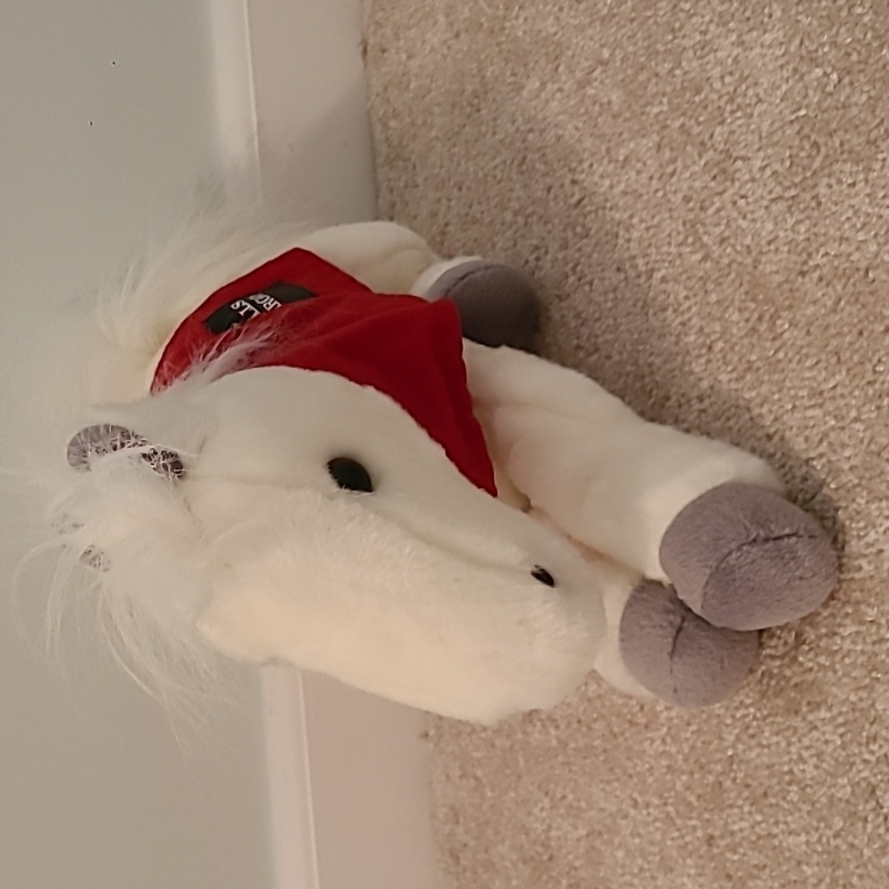 Wells Fargo Pony